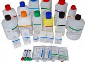 Yêu cầu báo giá các mặt hàng Hóa chất huyết học tại Bệnh viện Đa khoa khu vực miền núi phía Bắc Quảng Nam